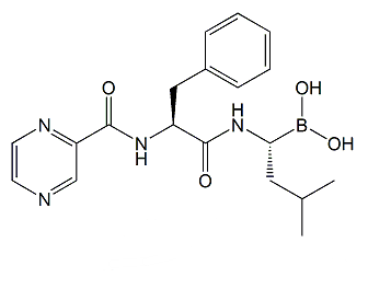 Bortezomib