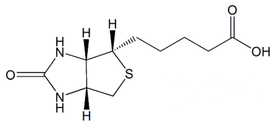 Biotin