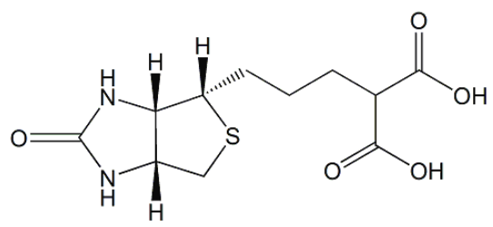 Biotin EP Impurity B