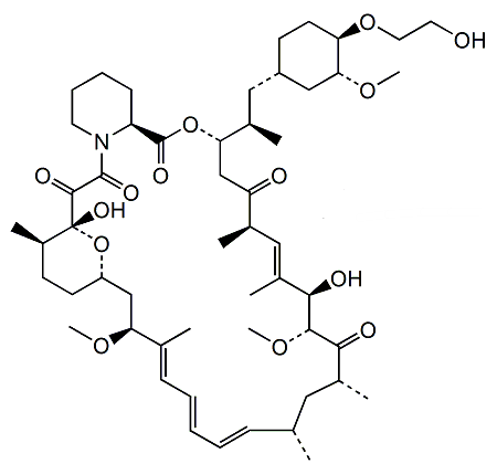 Everolimus