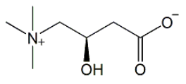 Levocarnitine