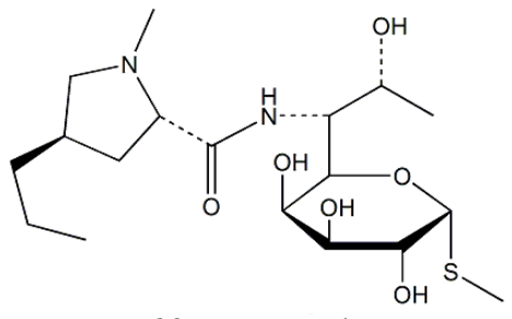 Lincomycin