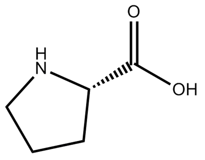 L-Proline