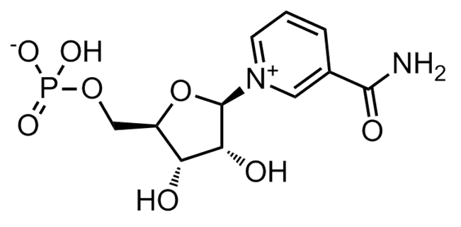 β-Nicotinamide Mononucleotide