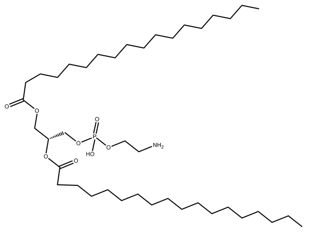 Phosphatidylethanolamine