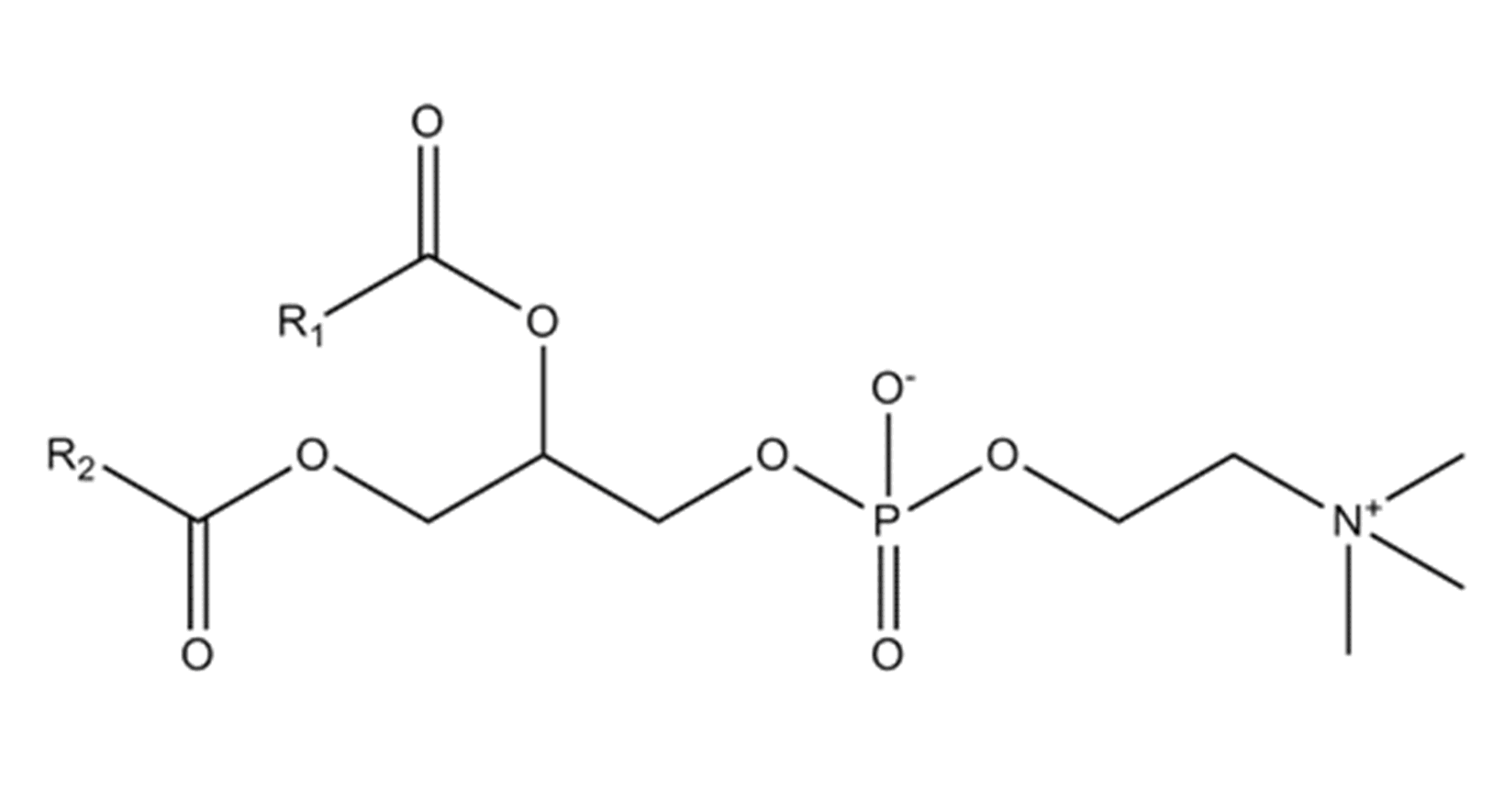 Phosphatidylcholine