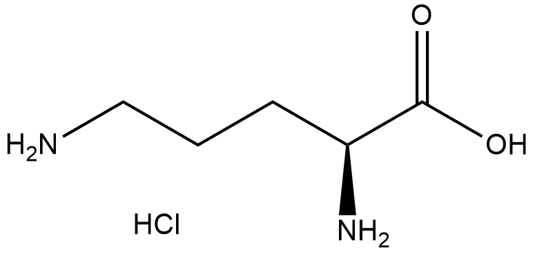 L-Ornithine HCl