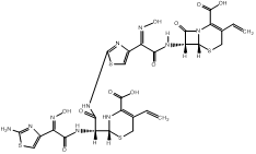 Cefdinir Impurity 15