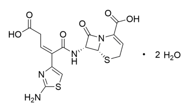 Ceftibuten Dihydrate